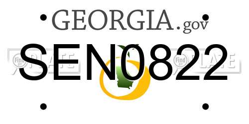 SEN0822 Georgia License Plate