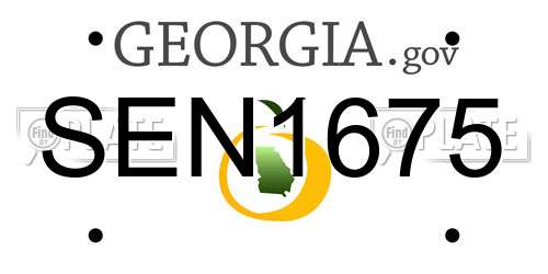 SEN1675 Georgia License Plate