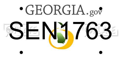 SEN1763 Georgia License Plate