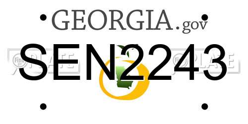 SEN2243 Georgia License Plate