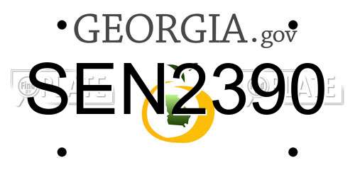 SEN2390 Georgia License Plate