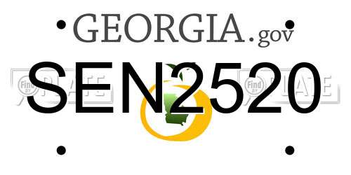 SEN2520 Georgia License Plate