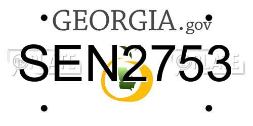 SEN2753 Georgia License Plate