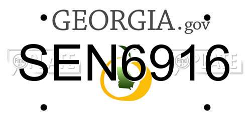 SEN6916 Georgia License Plate