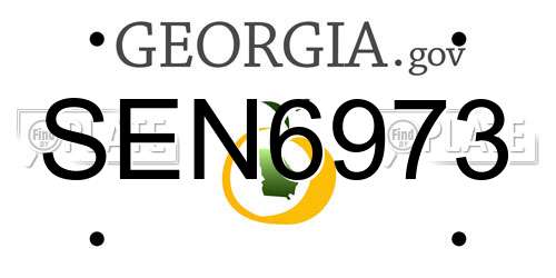 SEN6973 Georgia License Plate