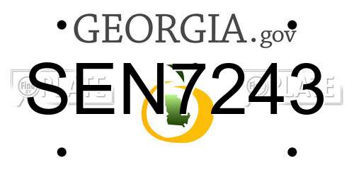 SEN7243 Georgia License Plate