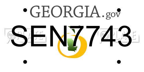 SEN7743 Georgia License Plate