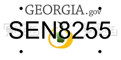 SEN8255 Georgia License Plate