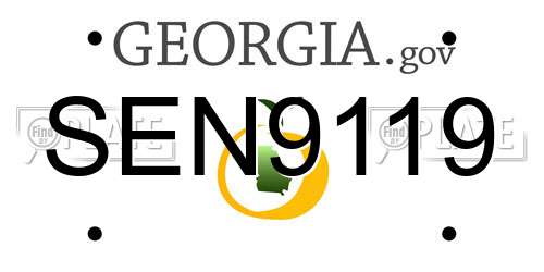 SEN9119 Georgia License Plate