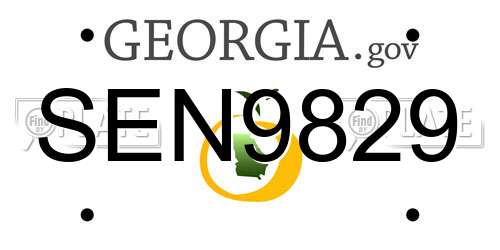 SEN9829 Georgia License Plate