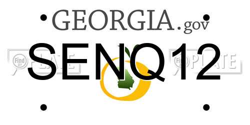 SENQ12 Georgia License Plate