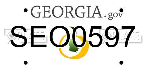 SEO0597 Georgia License Plate