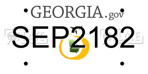 SEP2182 Georgia License Plate