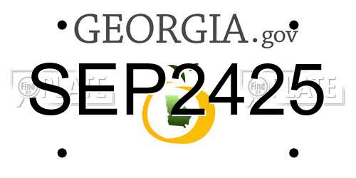 SEP2425 Georgia License Plate