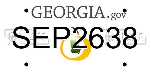 SEP2638 Georgia License Plate
