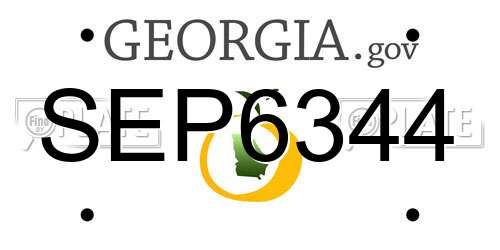 SEP6344 Georgia License Plate