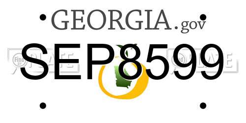 SEP8599 Georgia License Plate