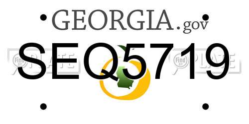 SEQ5719 Georgia License Plate