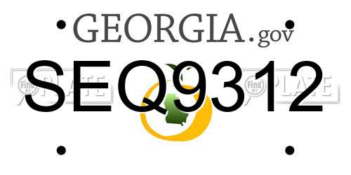 SEQ9312 Georgia License Plate