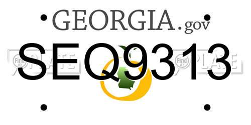 SEQ9313 Georgia License Plate