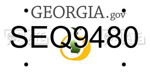 SEQ9480 Georgia License Plate