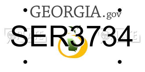 SER3734 Georgia License Plate