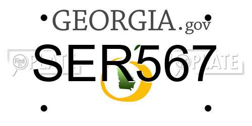 SER567 Georgia License Plate