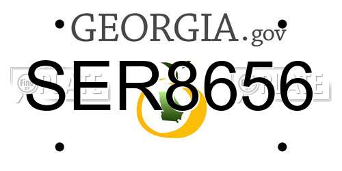 SER8656 Georgia License Plate