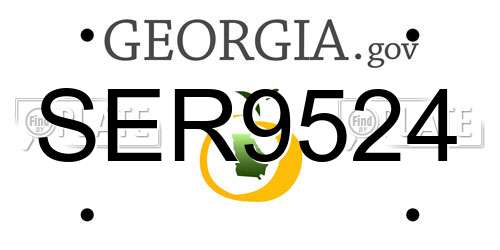 SER9524 Georgia License Plate