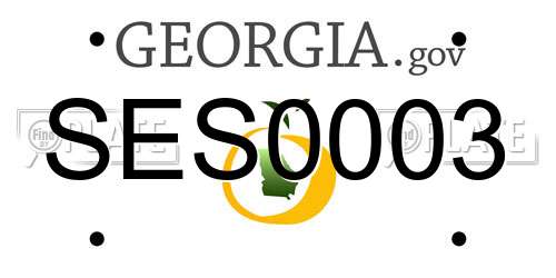 SES0003 Georgia License Plate