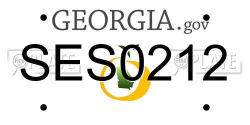 SES0212 Georgia License Plate