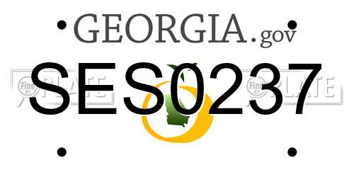 SES0237 Georgia License Plate