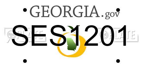 SES1201 Georgia License Plate