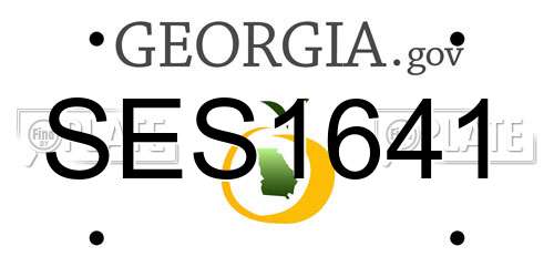 SES1641 Georgia License Plate