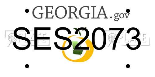 SES2073 Georgia License Plate