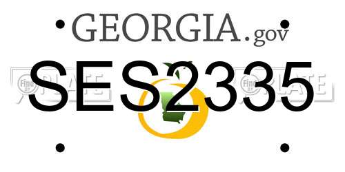 SES2335 Georgia License Plate