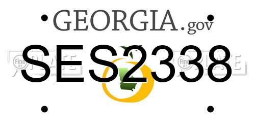SES2338 Georgia License Plate