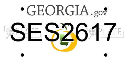 SES2617 Georgia License Plate
