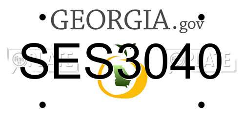 SES3040 Georgia License Plate