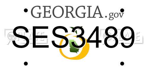 SES3489 Georgia License Plate