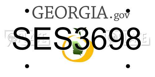 SES3698 Georgia License Plate