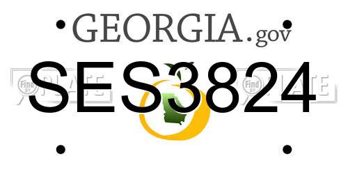 SES3824 Georgia License Plate