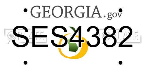 SES4382 Georgia License Plate