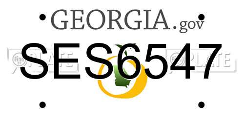 SES6547 Georgia License Plate