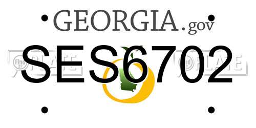 SES6702 Georgia License Plate