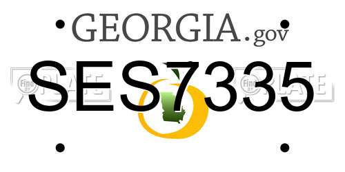 SES7335 Georgia License Plate