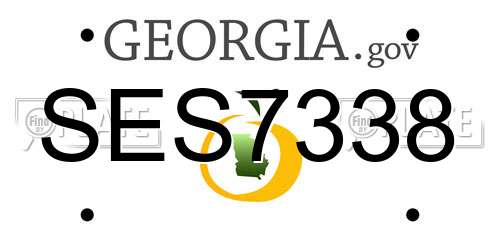 SES7338 Georgia License Plate