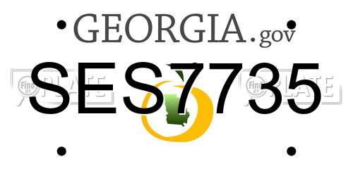 SES7735 Georgia License Plate