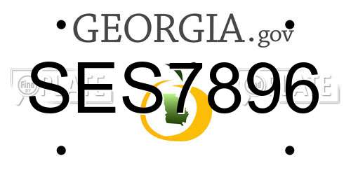 SES7896 Georgia License Plate