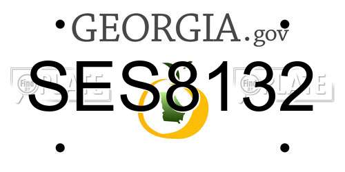 SES8132 Georgia License Plate